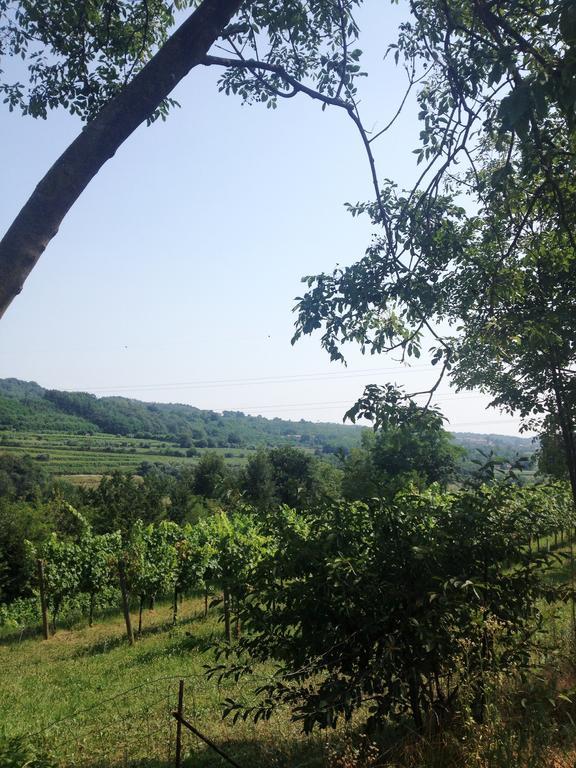 B&B Maccalle Oasi Franciacorta Provezze 외부 사진